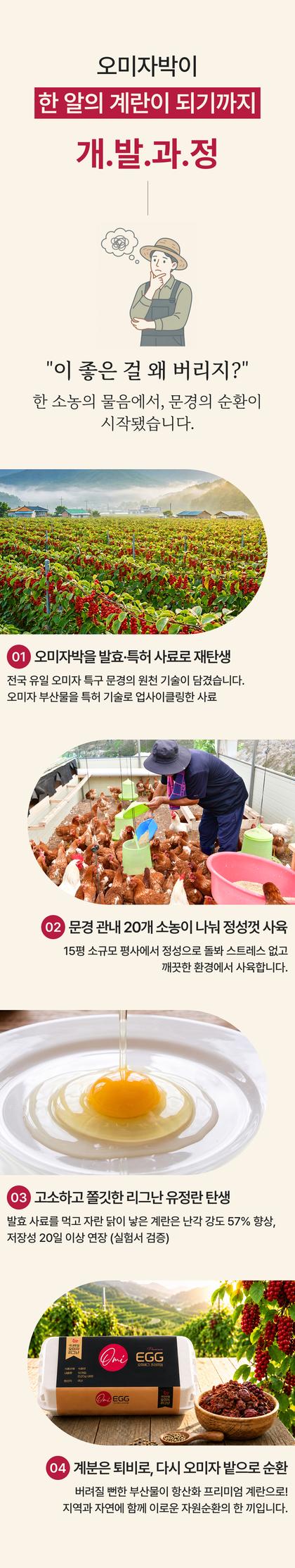 07_재배과정 생산과정_18.jpg